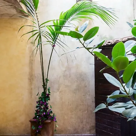 Vicolo Del Cedro Private 로마